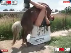 In bizarre zoo scenes, a guy rapes a horse and then cums on its tail.